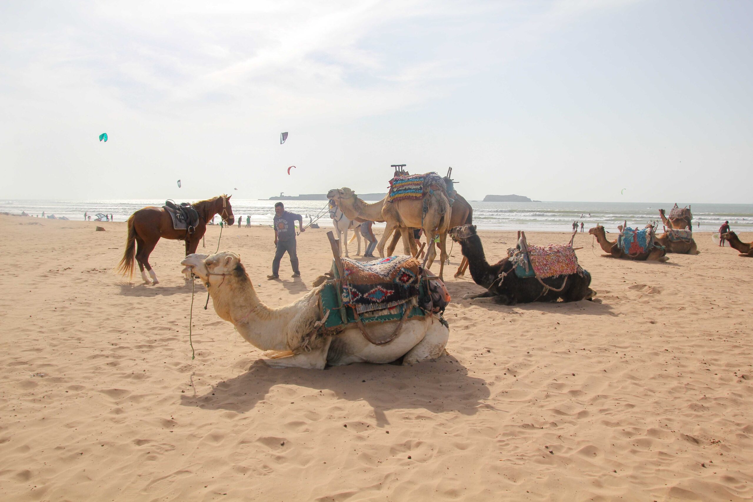 Essaouira-24